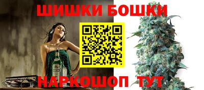 крисы Новозыбков