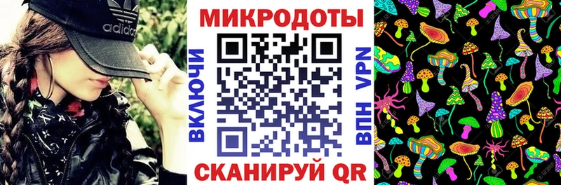 дарнет шоп  Саяногорск  Галлюциногенные грибы Psilocybine cubensis 