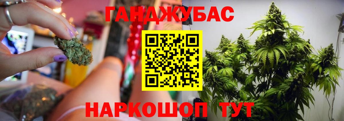 Шишки марихуана семена Саяногорск